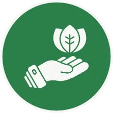 Clean Labels That Perform